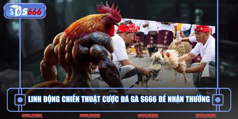 Linh động chiến thuật cược đá gà S666 để nhận thưởng